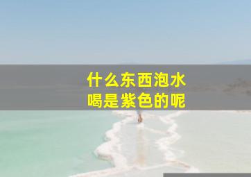 什么东西泡水喝是紫色的呢