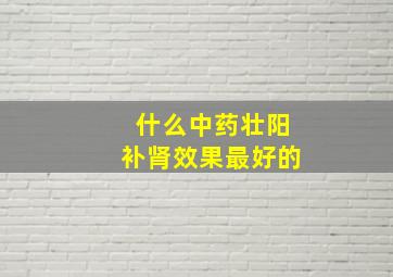 什么中药壮阳补肾效果最好的