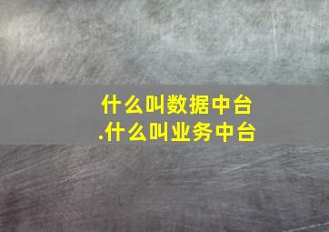 什么叫数据中台.什么叫业务中台