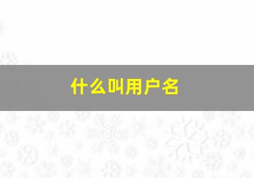 什么叫用户名