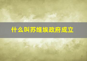 什么叫苏维埃政府成立