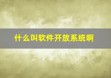 什么叫软件开放系统啊