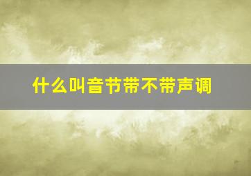 什么叫音节带不带声调