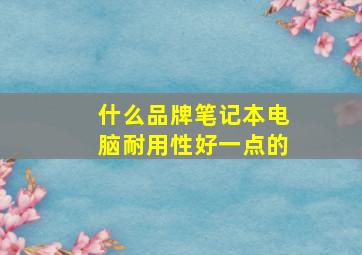 什么品牌笔记本电脑耐用性好一点的