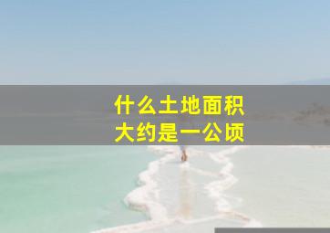 什么土地面积大约是一公顷