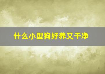 什么小型狗好养又干净