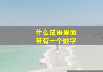 什么成语里面带有一个数字