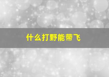 什么打野能带飞