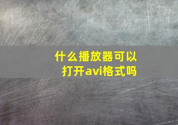 什么播放器可以打开avi格式吗