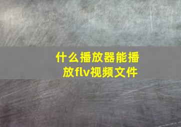 什么播放器能播放flv视频文件