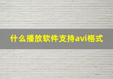 什么播放软件支持avi格式