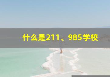 什么是211、985学校