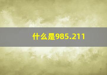 什么是985.211