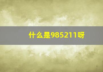 什么是985211呀