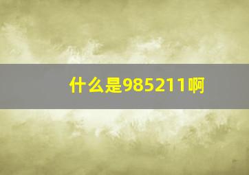 什么是985211啊