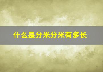 什么是分米分米有多长