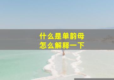 什么是单韵母怎么解释一下