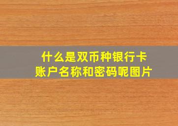 什么是双币种银行卡账户名称和密码呢图片