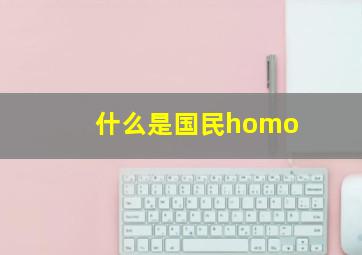 什么是国民homo