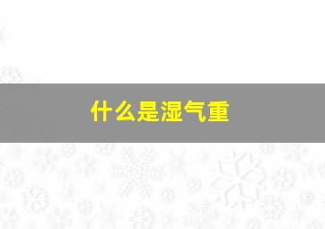 什么是湿气重