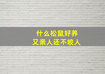 什么松鼠好养又亲人还不咬人