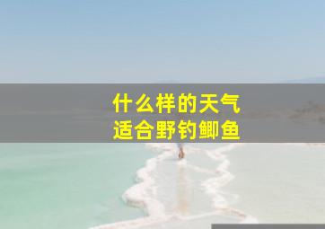 什么样的天气适合野钓鲫鱼