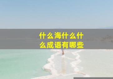 什么海什么什么成语有哪些