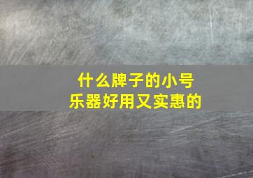 什么牌子的小号乐器好用又实惠的