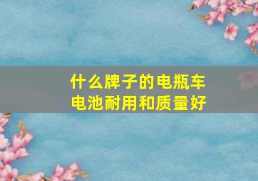 什么牌子的电瓶车电池耐用和质量好