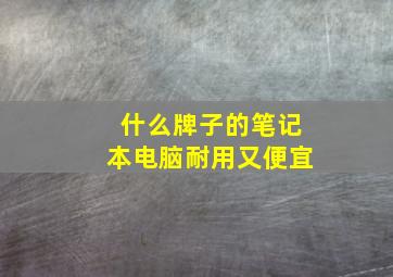 什么牌子的笔记本电脑耐用又便宜