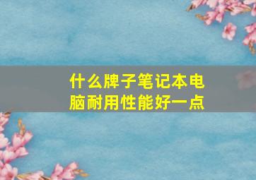 什么牌子笔记本电脑耐用性能好一点