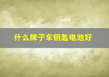 什么牌子车钥匙电池好