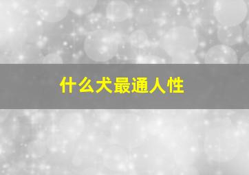 什么犬最通人性