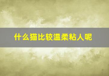 什么猫比较温柔粘人呢