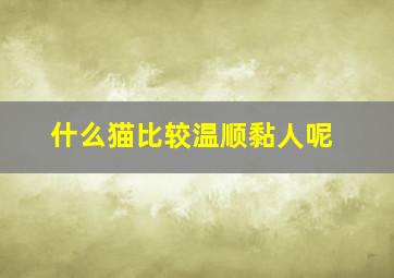 什么猫比较温顺黏人呢