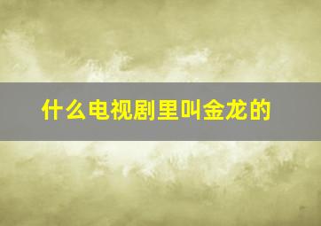 什么电视剧里叫金龙的