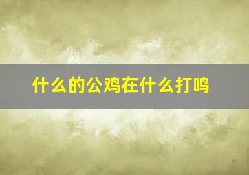 什么的公鸡在什么打鸣