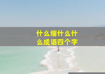 什么缩什么什么成语四个字