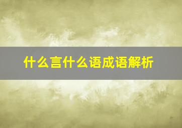 什么言什么语成语解析