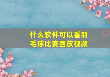 什么软件可以看羽毛球比赛回放视频