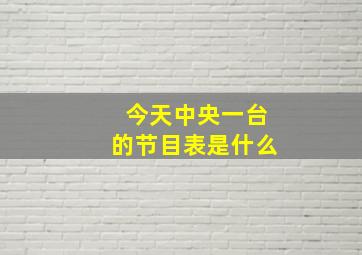 今天中央一台的节目表是什么