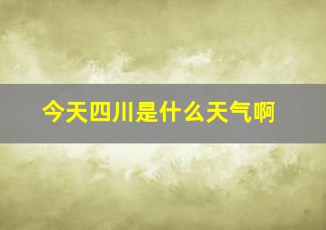 今天四川是什么天气啊