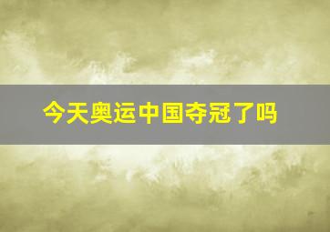 今天奥运中国夺冠了吗