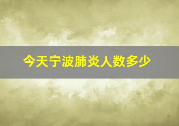 今天宁波肺炎人数多少