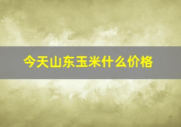 今天山东玉米什么价格