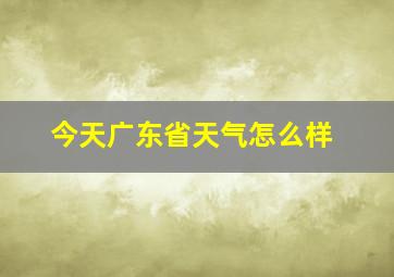 今天广东省天气怎么样