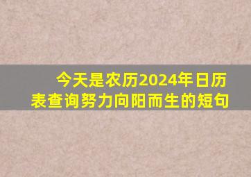 今天是农历2024年日历表查询努力向阳而生的短句