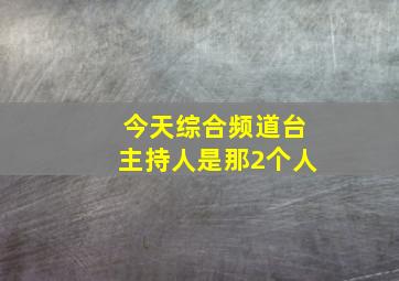 今天综合频道台主持人是那2个人