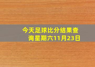 今天足球比分结果查询星期六11月23日