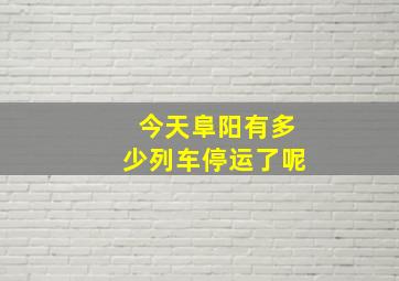 今天阜阳有多少列车停运了呢